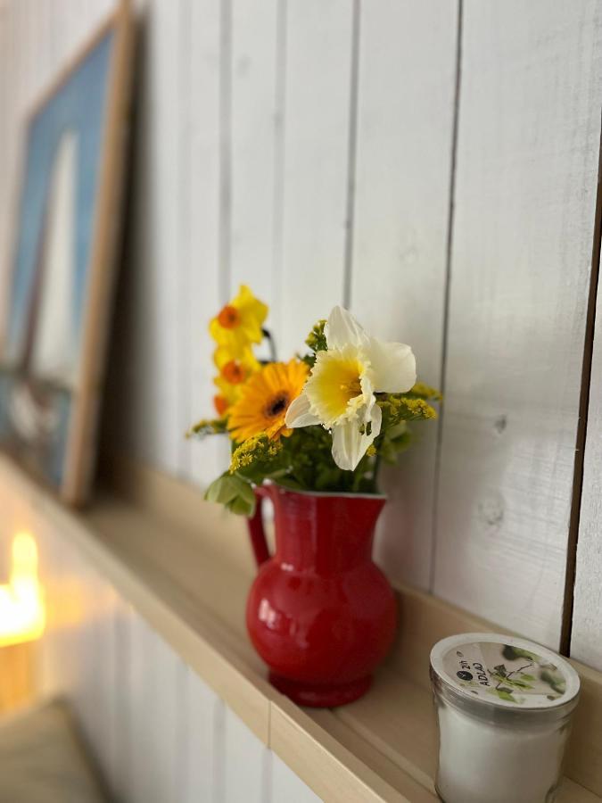 Beemster Tiny House Acomodação com café da manhã Zuidoostbeemster Exterior foto